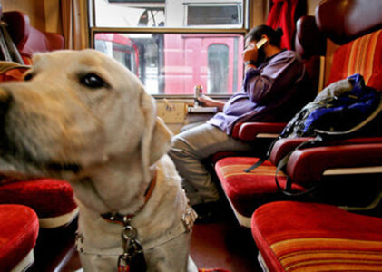 Con il cane in treno